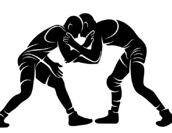राज्य स्तरीय नलवाड़ी मेला में कुश्ती प्रतियोगिता 20 से 23 मार्च तक