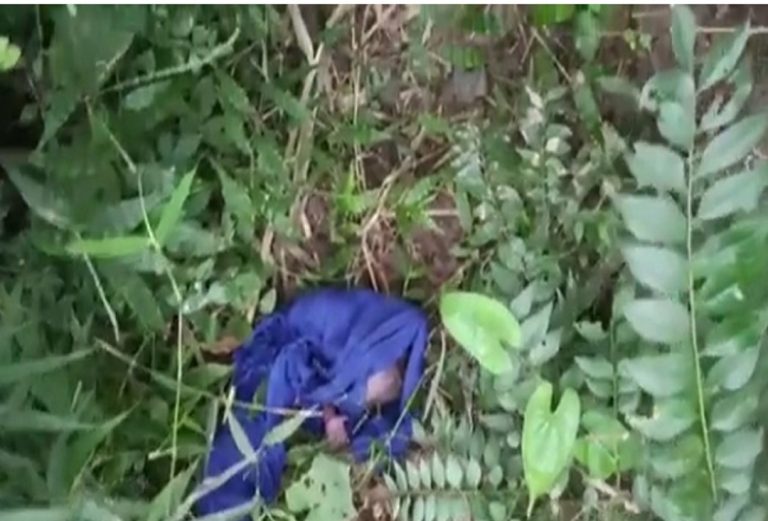 ममता शर्मसार : नवजात शिशु को झाड़ी में फेंक फरार हुई कलयुगी मां, नवजात शिशु की अस्पताल में मौत।