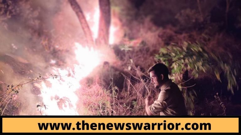 घुमारवीं: आग से दहका निहारी जंगल, जान जोखिम में डाल कर वन रक्षकों ने बुझाई आग