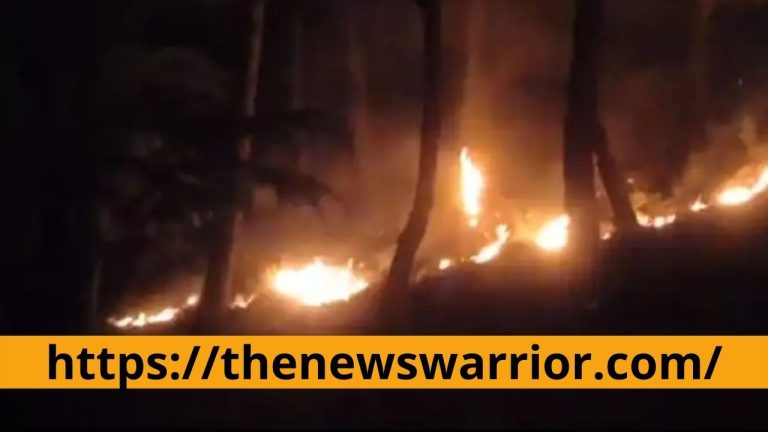 हिमाचल: आग से जंगलों में करोड़ों की वन संपदा जलकर राख, एक माह के भीतर 550 आग की घटनाएं