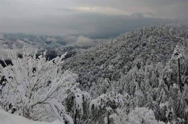 Weather Update : बर्फ से ढके हिमाचल के पहाड़  , जानिए कहां कितना हुआ हिमपात
