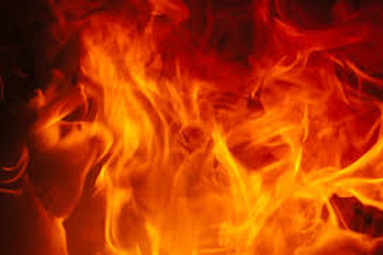 सैंज बाजार में कॉमन सर्विस सैंटर की दुकान में लगी आग , सारा सामान जलकर राख