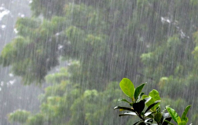 latest news ! हिमाचल में बदला मौसम का मिजाज, आगामी दिनों ऐसा रहेगा मौसम